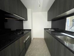 Park Colonial (D13), Condominium #357680691